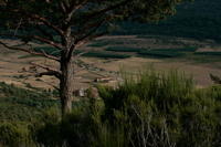  mg 1413 peq sRGB