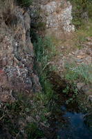  mg 1439 peq sRGB